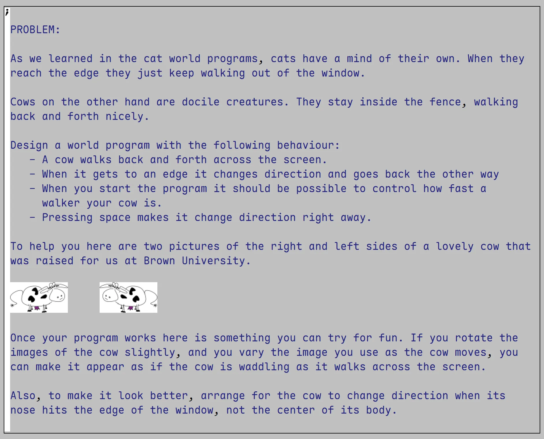 cowabunga-starter.rkt